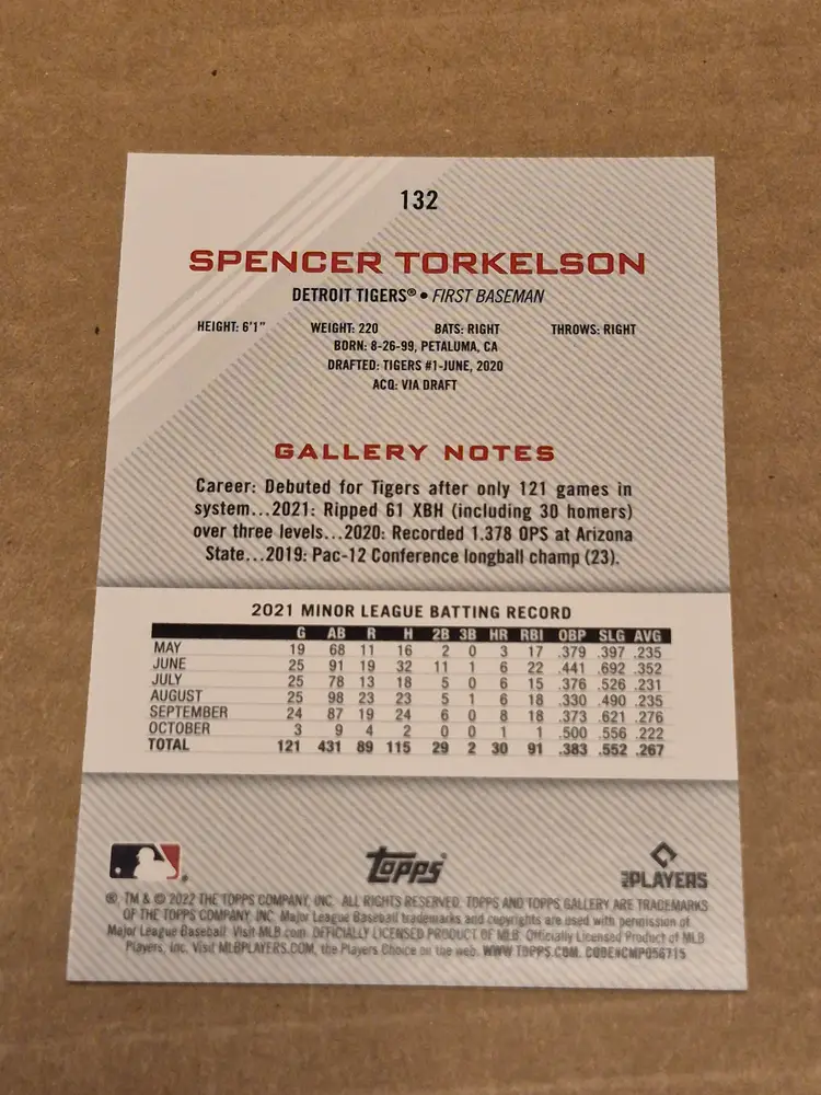 Spencer Torkelson (RC) 2022 Topps Gallery SSP Art Variation #132 Tigers
