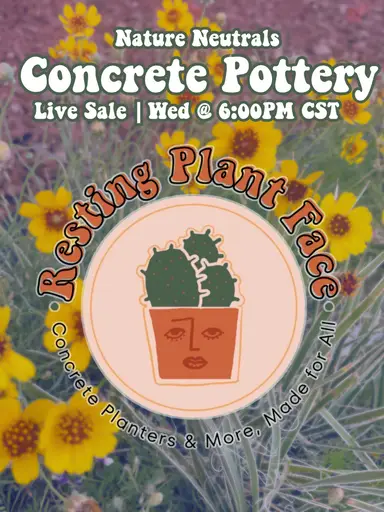 Nature Neutrals Concrete Pots!