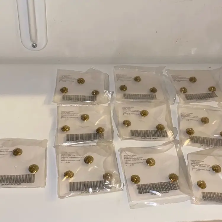 lot of 10 US Identification Career Counselor Badges, Rare