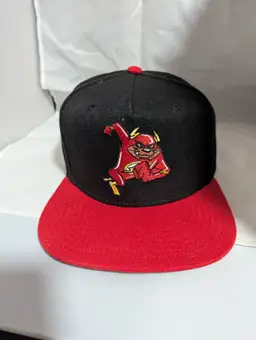 DC Looney Tunes crossover snap back hat