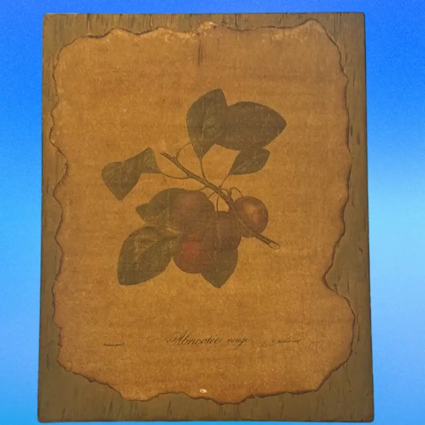 Vintage French Folk Art Decoupage Fruit Image On Wood ( Red Apricot Tree) Artist - Bocourt Born 1821