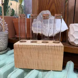 0016 Curly Maple Propagation Station