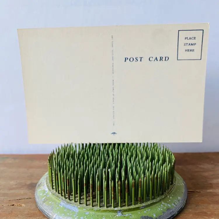 New Old Stock Jeepers Postcard