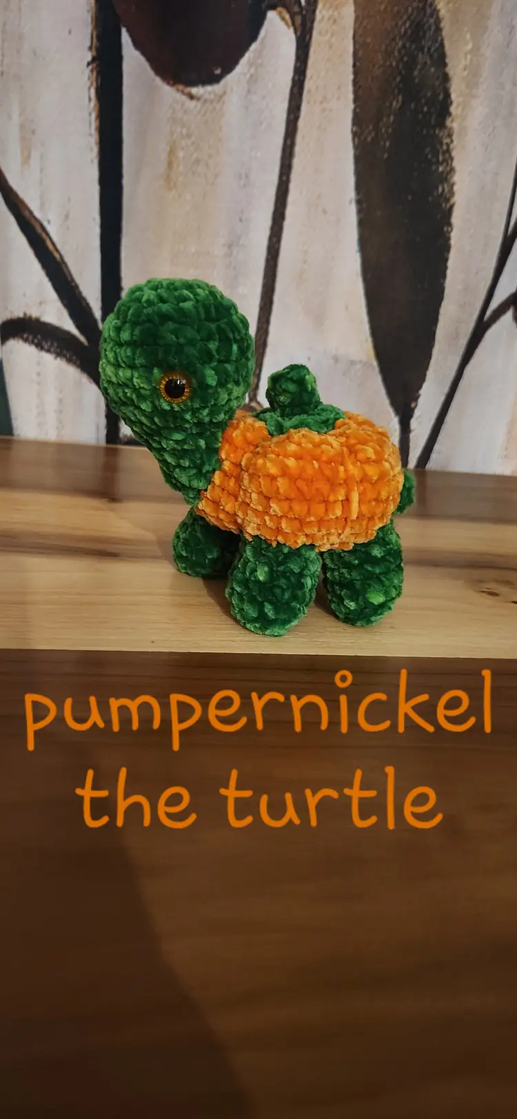 Pumpernickel the Turtle