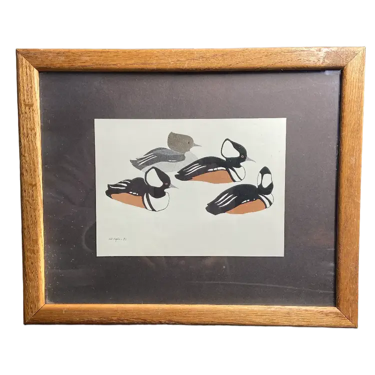 1981 Framed 9" x 11" W.Morgan Signed Print of Hooded Merganser Ducks