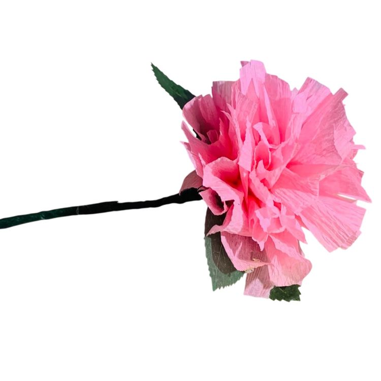 Vibrant Crepe Paper Flowers Made By Me Baby’s Breath Pink Color Marigold Carnation Blossom 3.5-4” Diameter Blossom And 5.5-6” Tall Overall