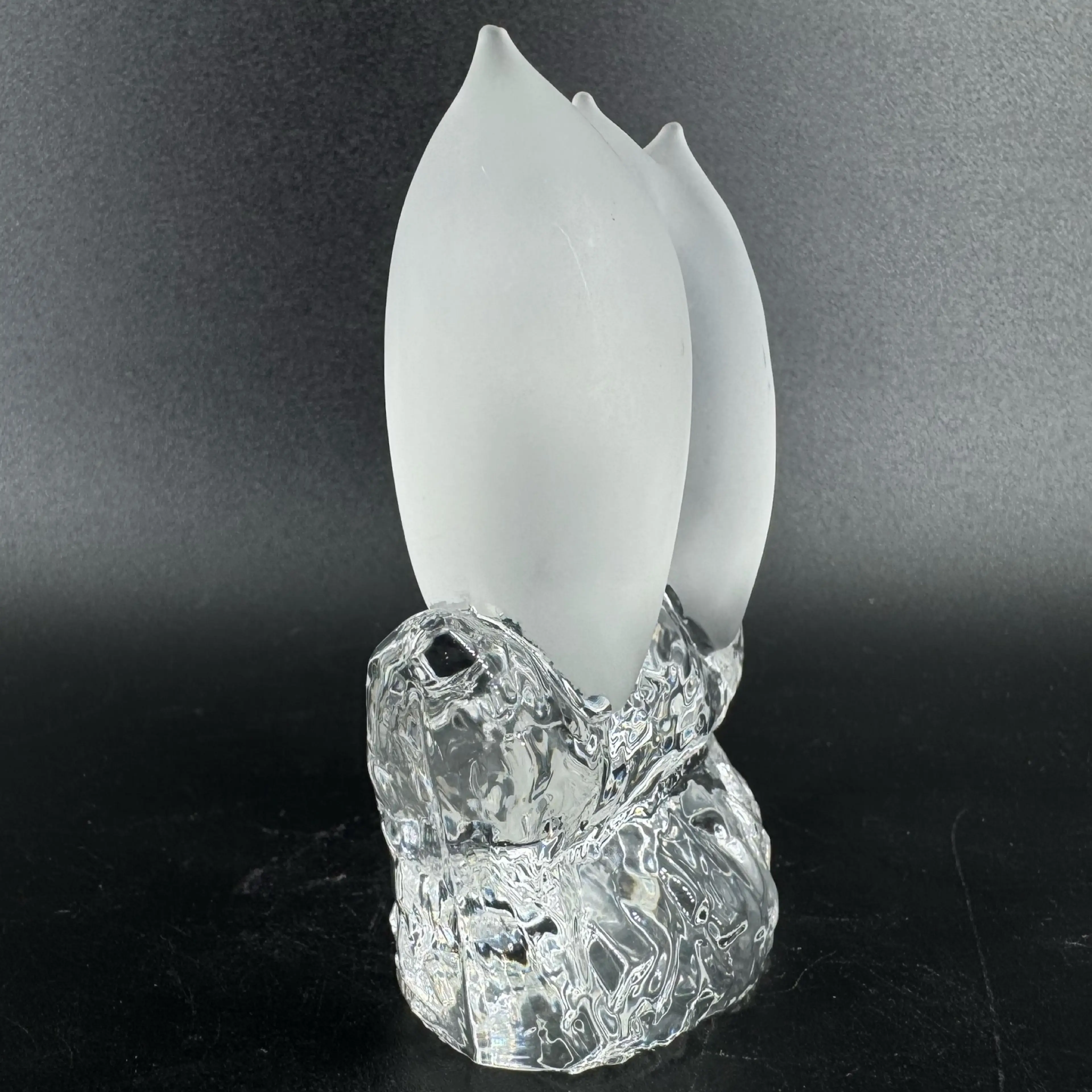 Image 4 of 7