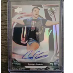 Autographed Items (Not Cards)