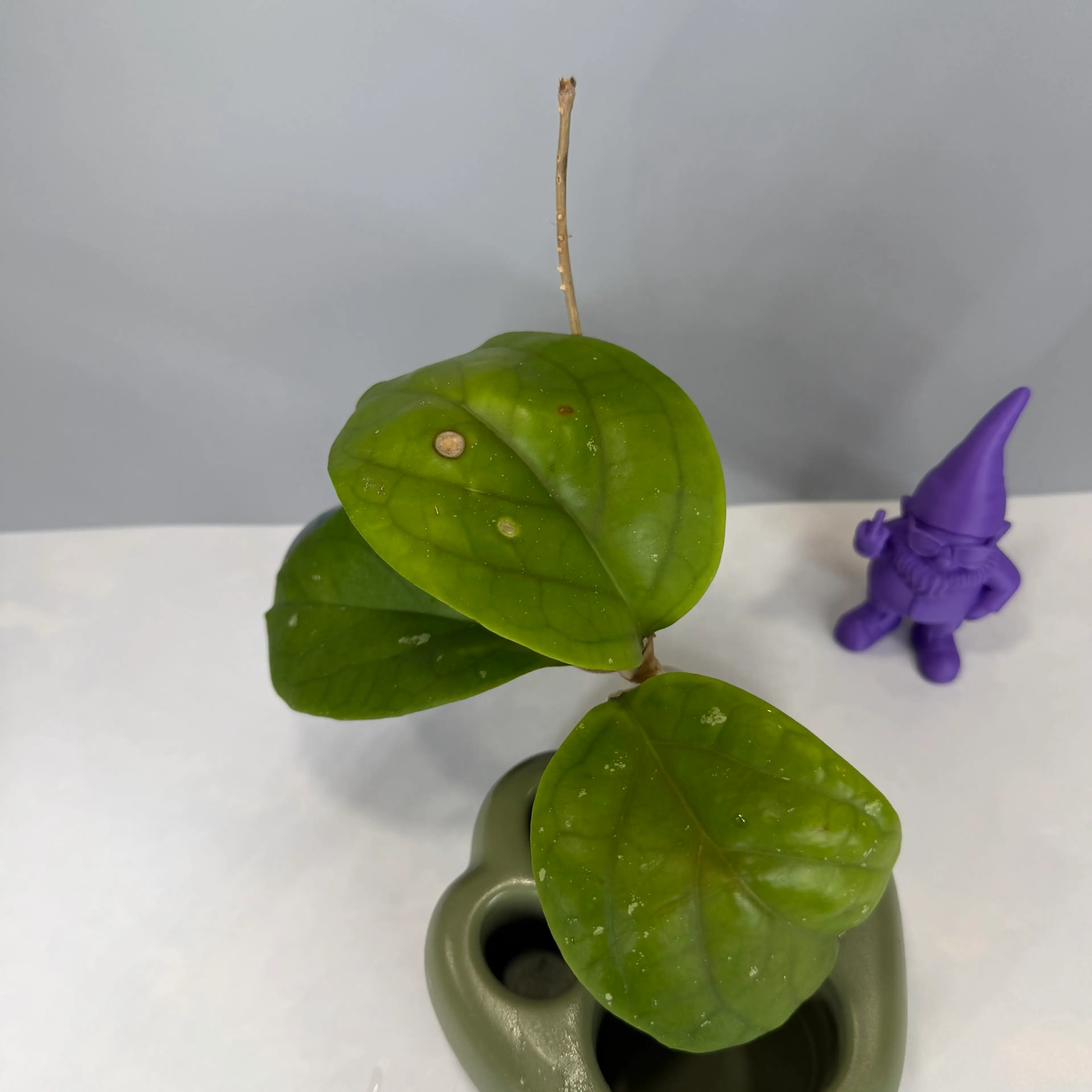 Image 2 of 3