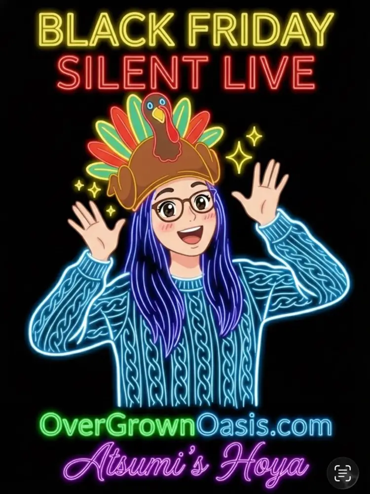 All Day Black Friday Silent Live (purge) 