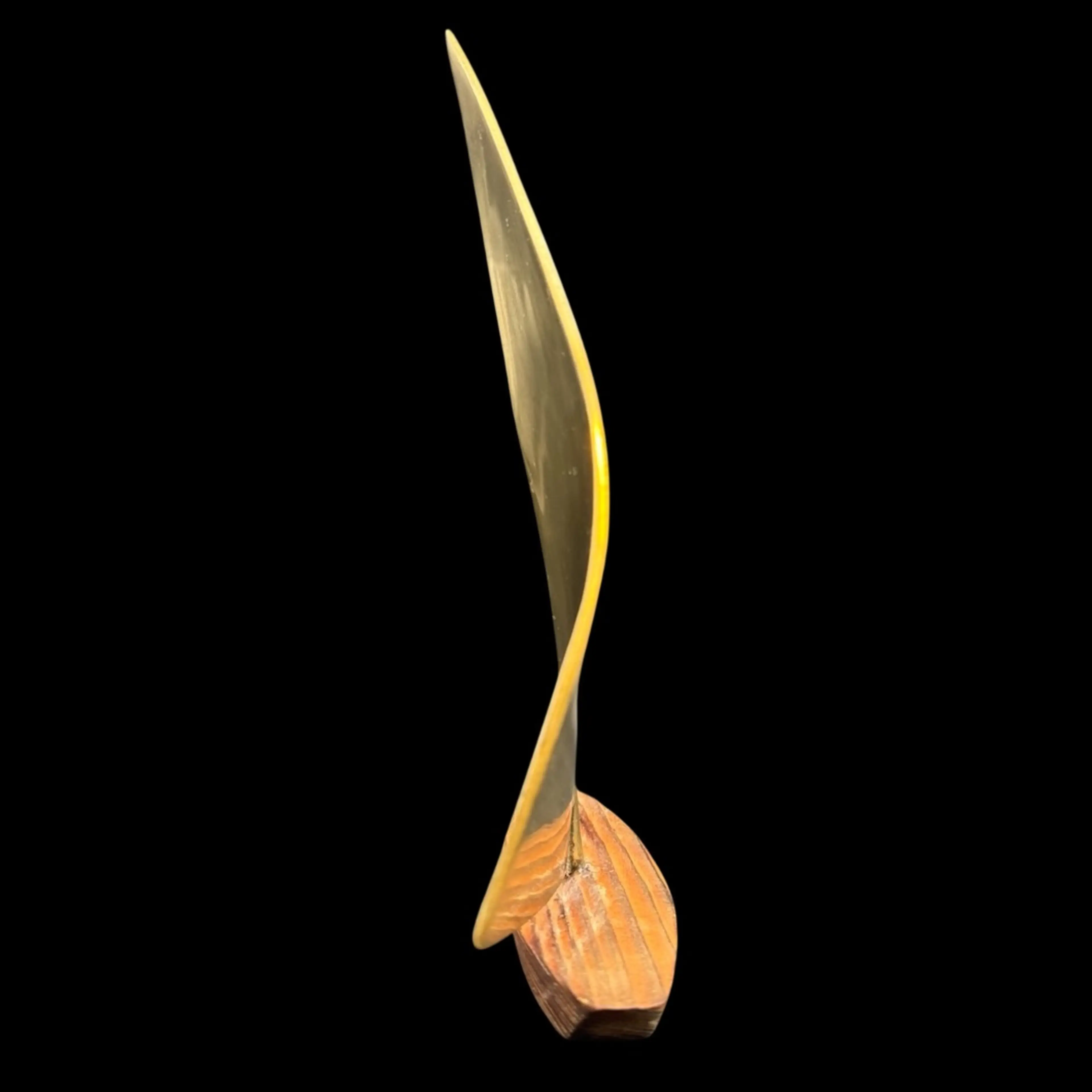 Image 2 of 7