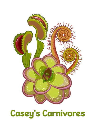 Seed Grown and Rare Pinguicula! π₯³