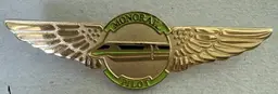 Vintage Walt Disney World Monorail Gold Pilot Wings Cast Pin Lime