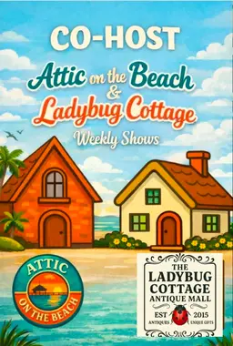 #29 - India Silk Skirt Long