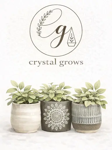 New Pots!