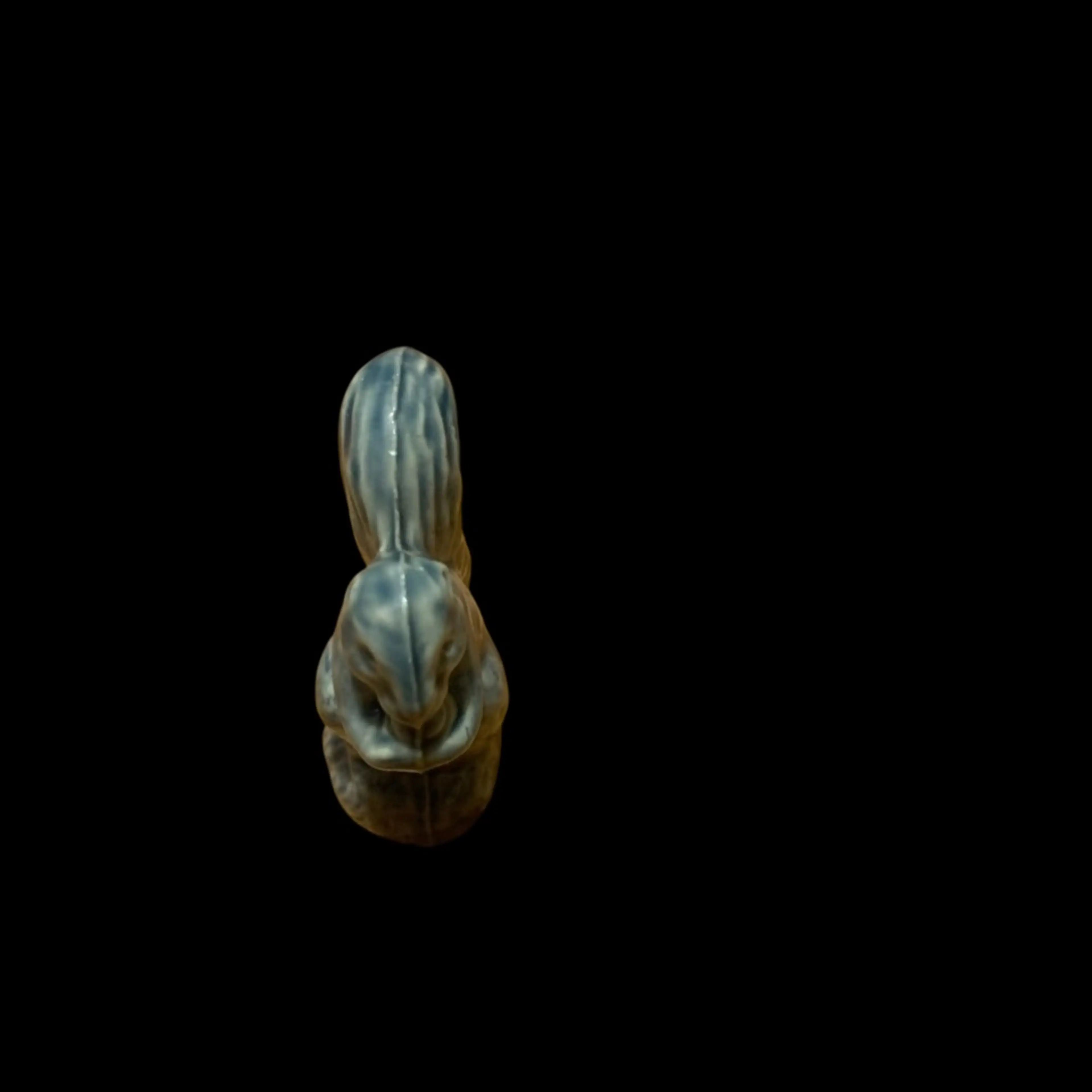 Image 4 of 5
