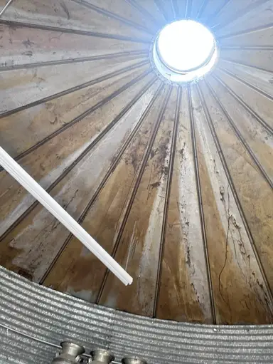 Major Clearance Day 5 Dollar Starts 