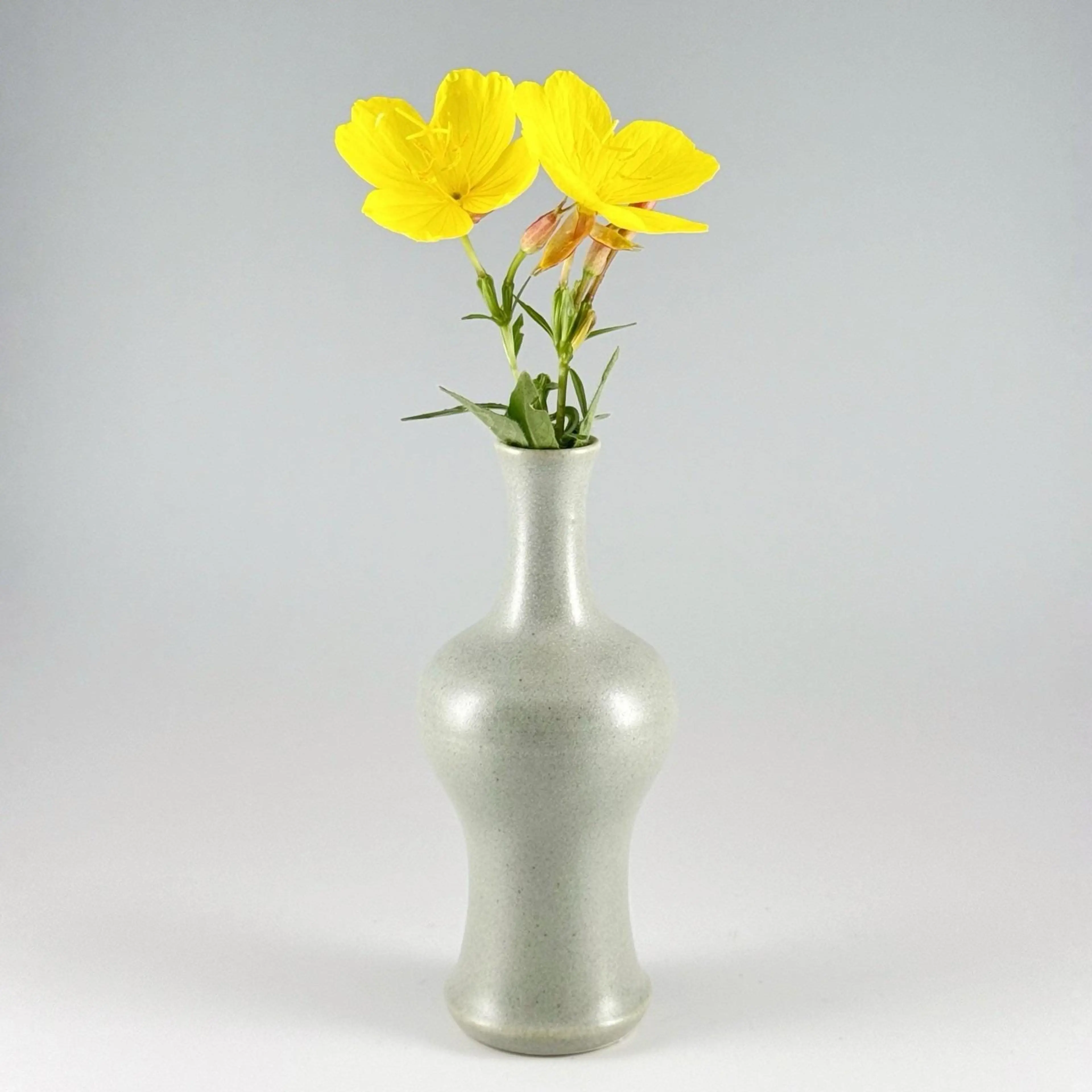 Image 1 of 12