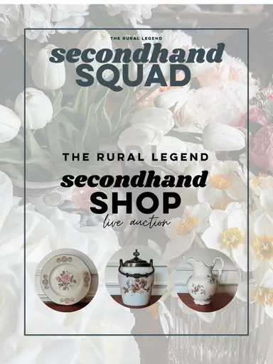 Spring Auction Train - TRL