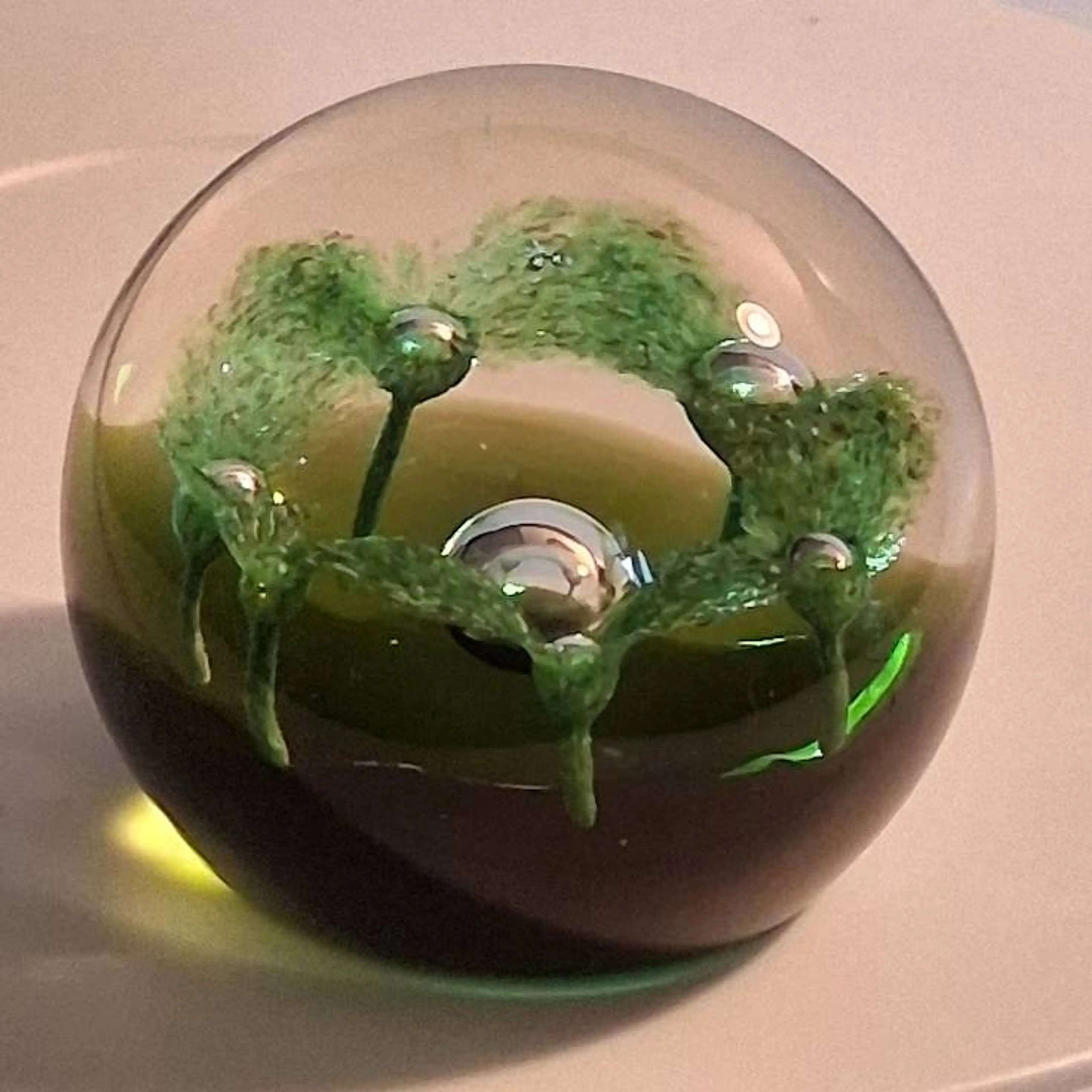 Image 3 of 5