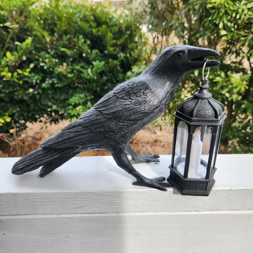 Crow With Lantern