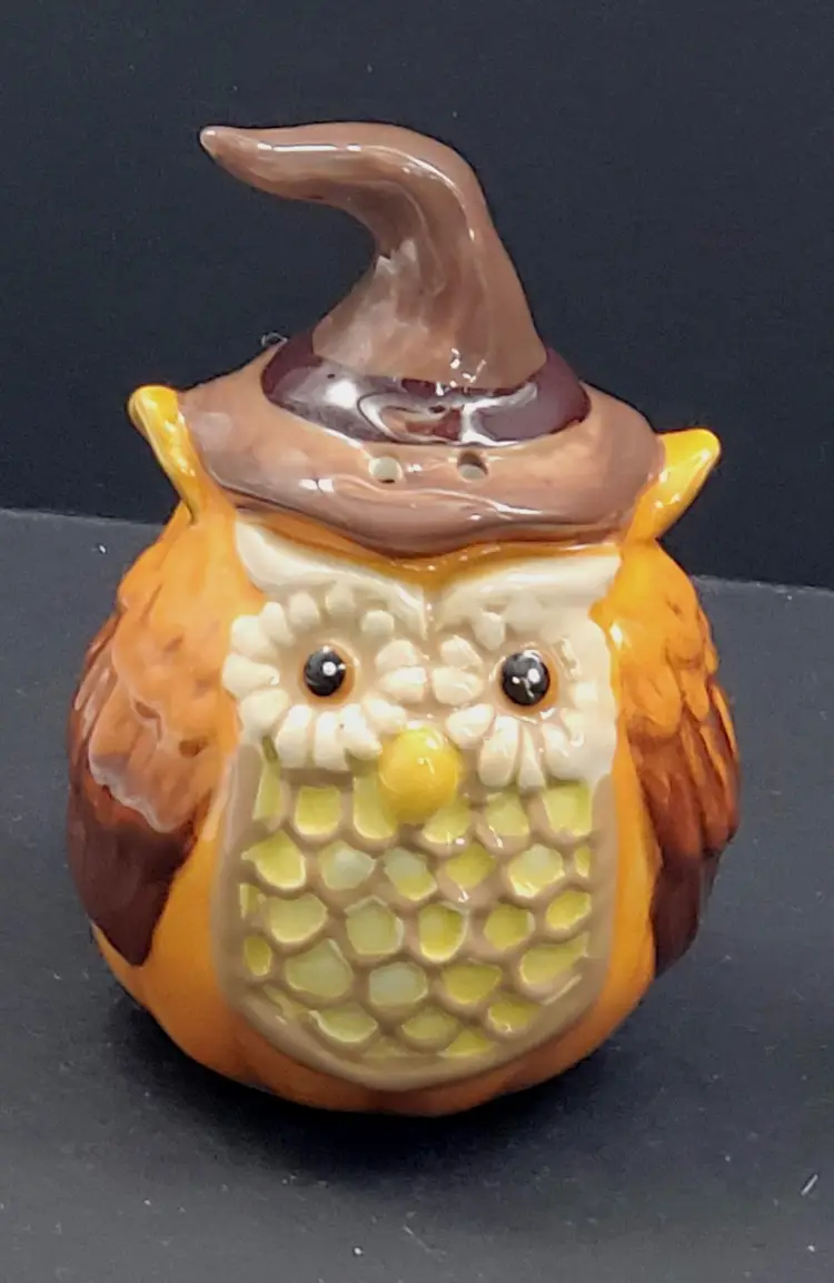 Owl Salt and Pepper Shakers  Stoneware Halloween Fall Decor