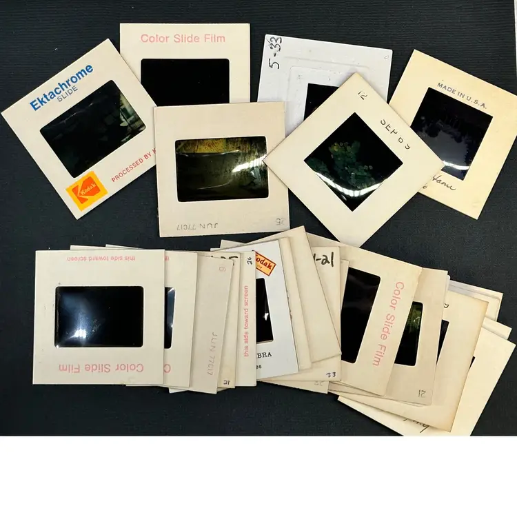 Vintage Photo Slides 50pk