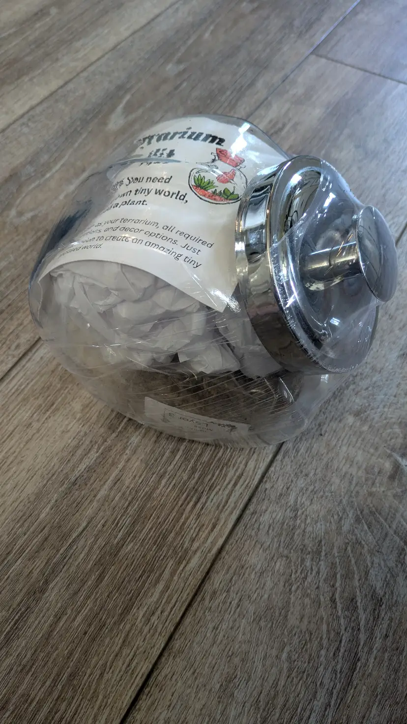 Closed Glass Terrarium Kit Metal Lid 6.5"x7"