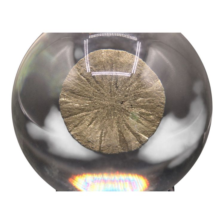 Acrylic Orb Gold Glitter Sand Dollar with Black Stand 5 1/4” Tall 1#11oz