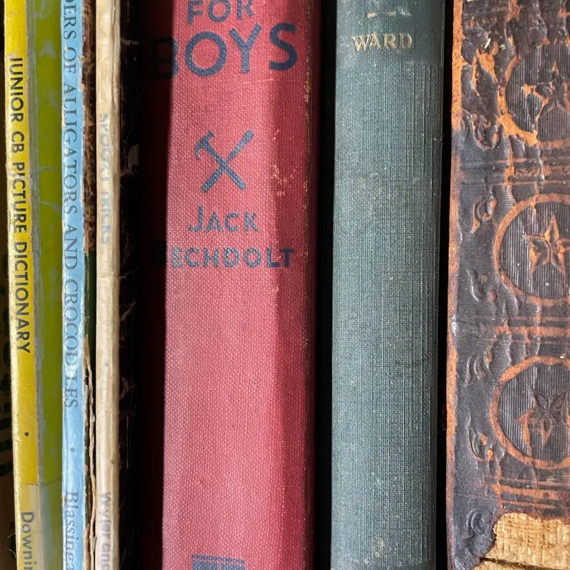Vintage Book