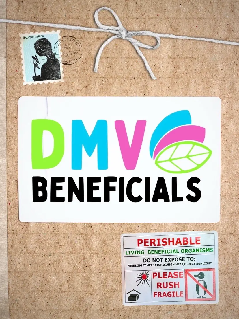 Livestream thumbnail