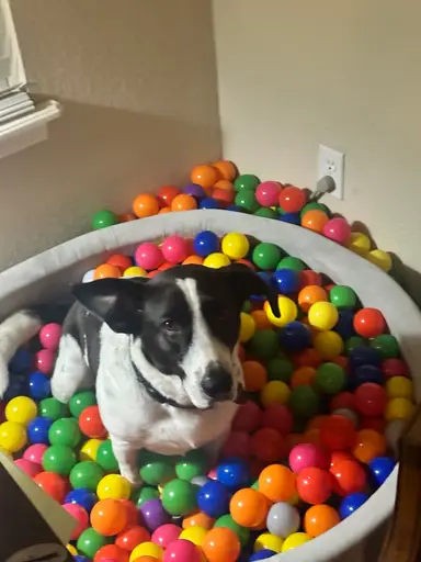 Let’s Play Jewelry 