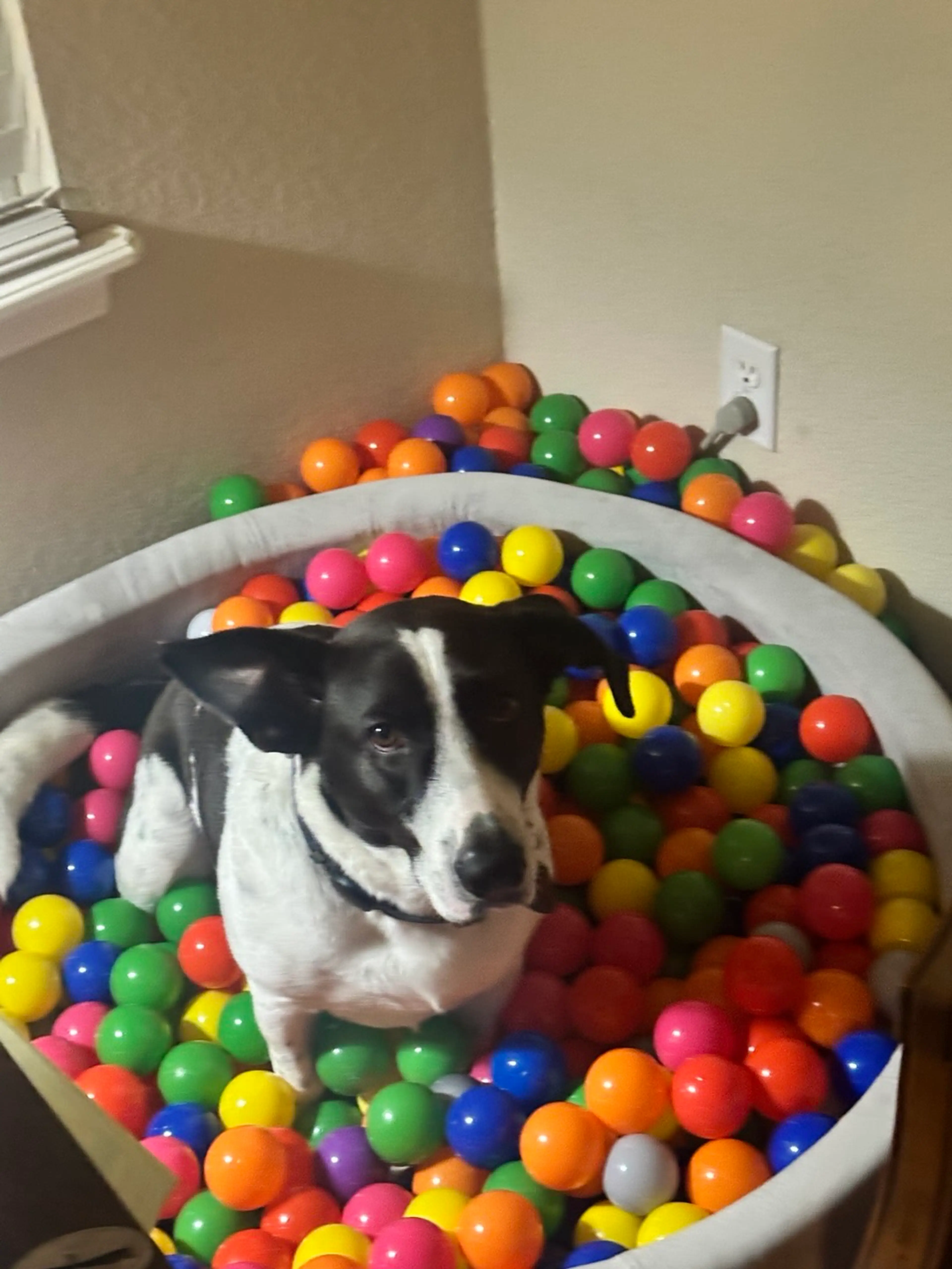 Let’s Play Jewelry 