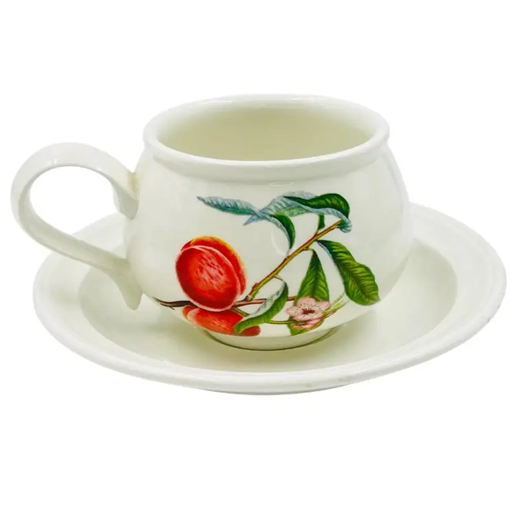 COFFEE CUP & SAUCER Port Meirion Pamona Grimwoods Royal George Peach England  **Read**