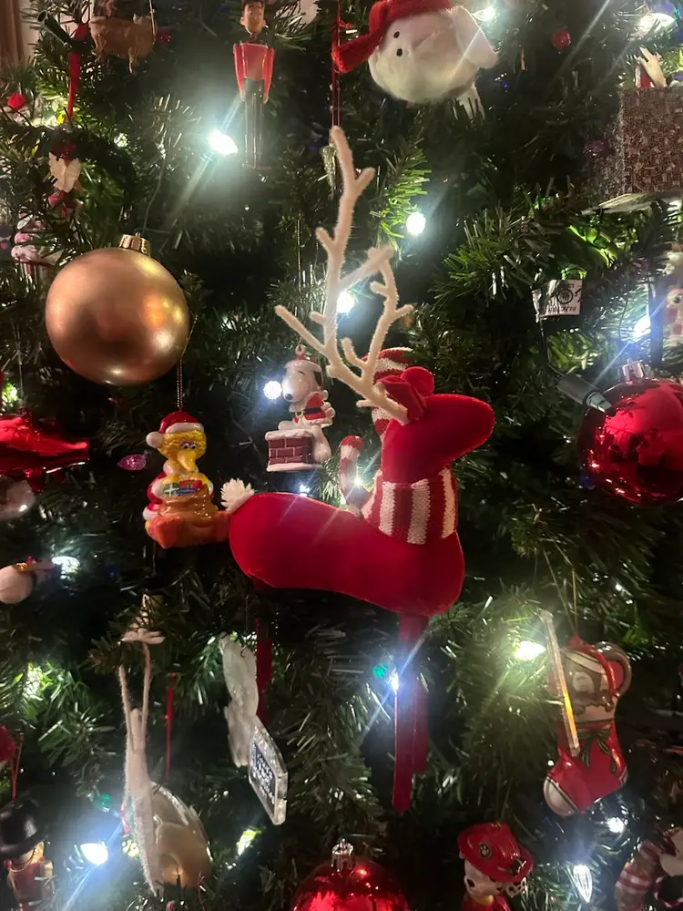 Giddy Up Gift Gala on Niknax.net w/ Amanda! 