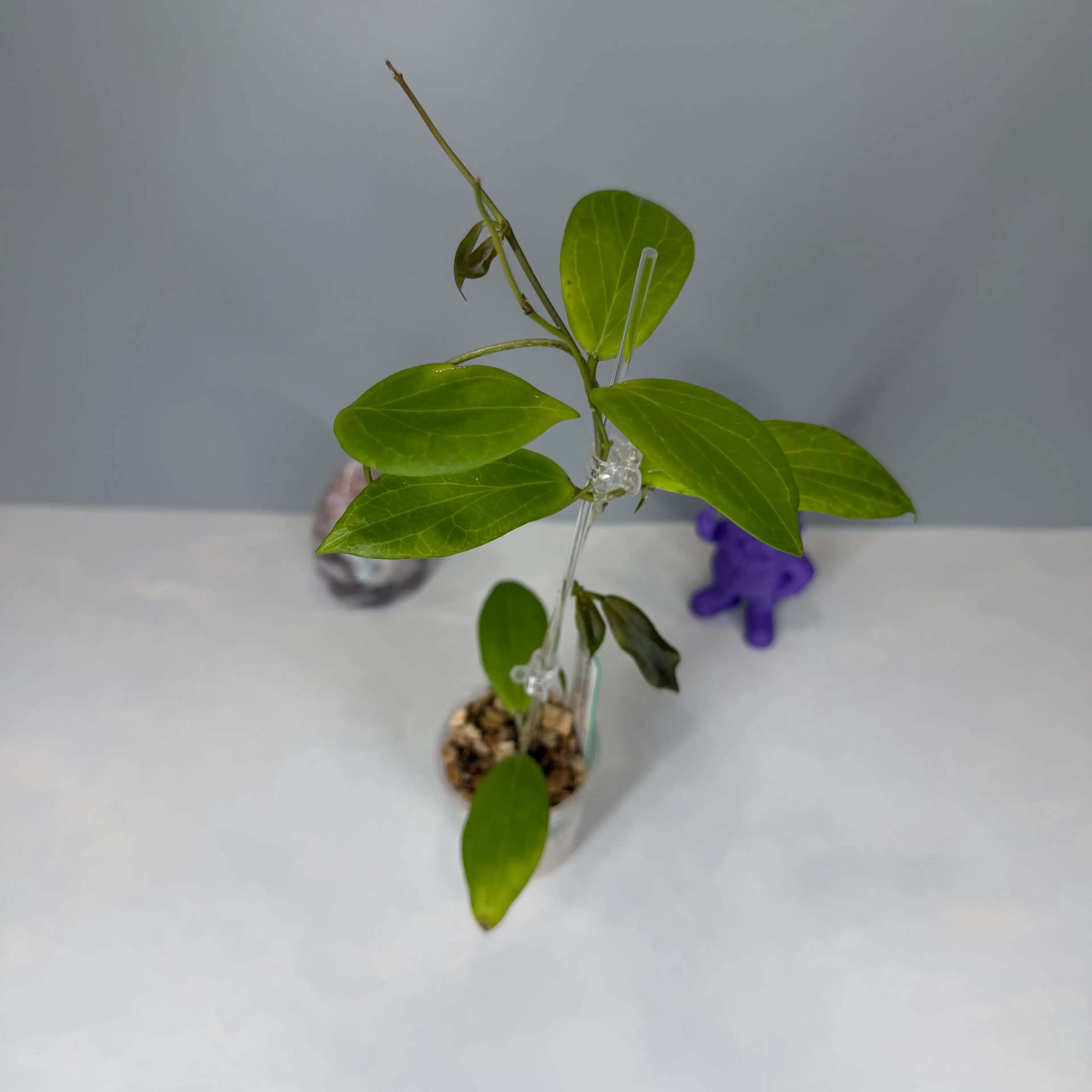 Image 2 of 3