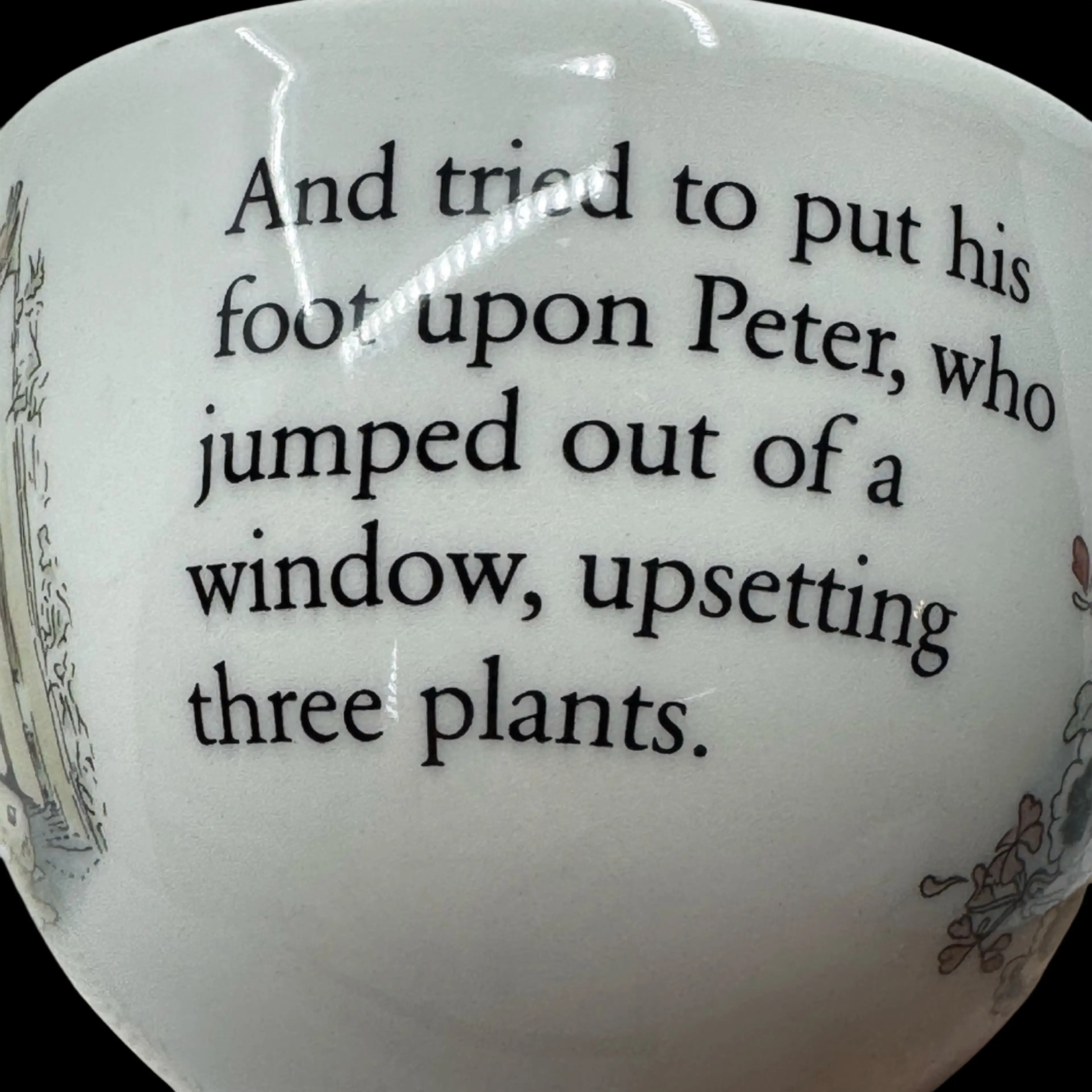 Image 4 of 8