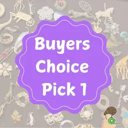 #08 - -lBuyers Choice - Pick 1 Brooch
