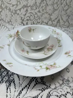 Luncheon Set Plate Cup, And Saucer, Lemos France Plate 9.5 Inches Saucer, Chipped