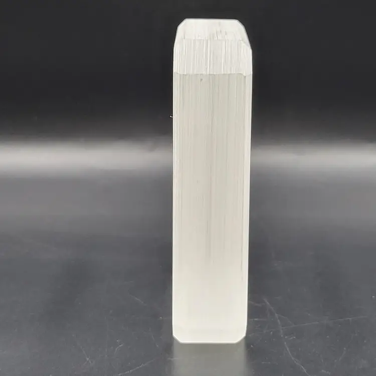 Vintage 1976 Reverse Carved Lucite Acrylic Art Paperweight With Lady Bugs And Mushroom Signed FAX 76