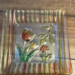 Fused Glass Plate