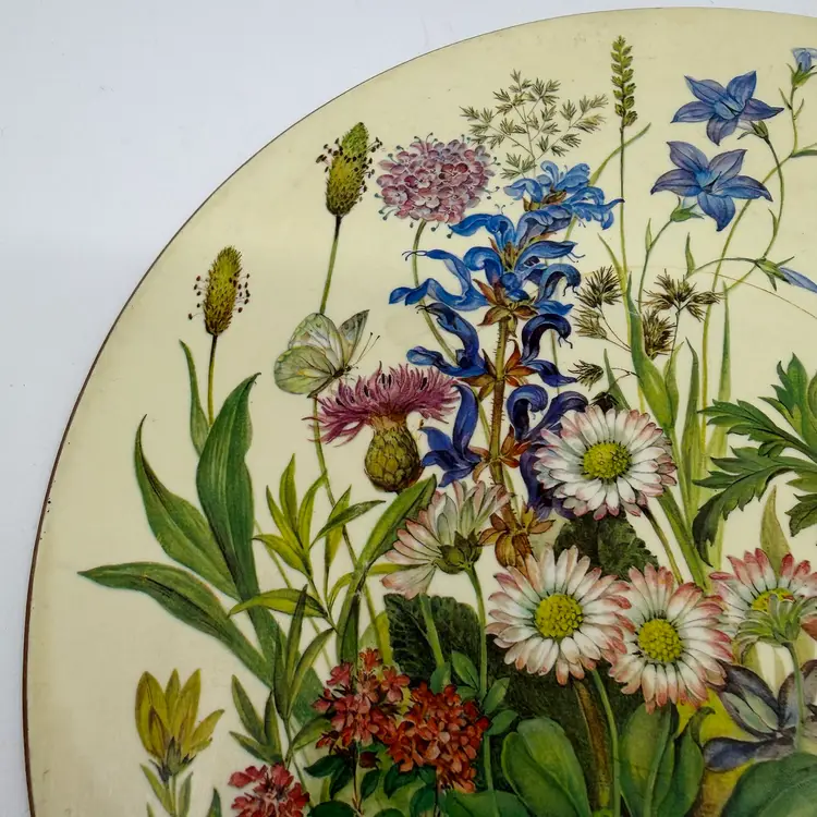 Vintage Pimpernel Cork Backed Circular Placemat Or Trivet Botanical Floral Design Of The Butchery Gardens Heat And Stain Resistant