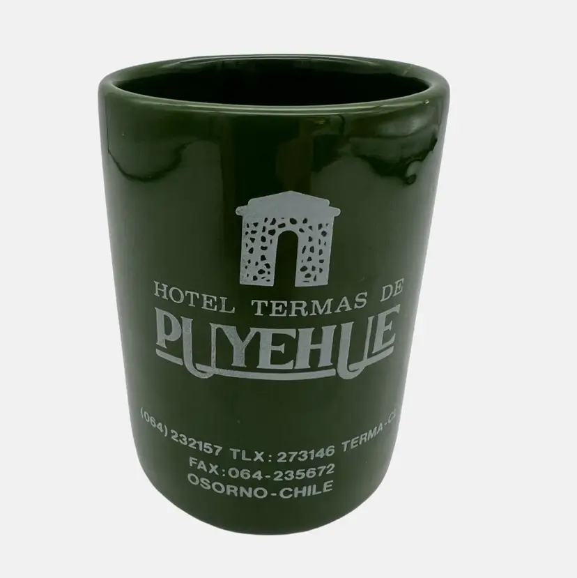 1990 Green Mug Hotel Termas De Puyehue Chile Onetto Accountants Conference