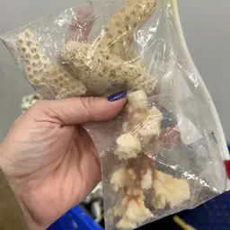 Bag Of Coral Fragments