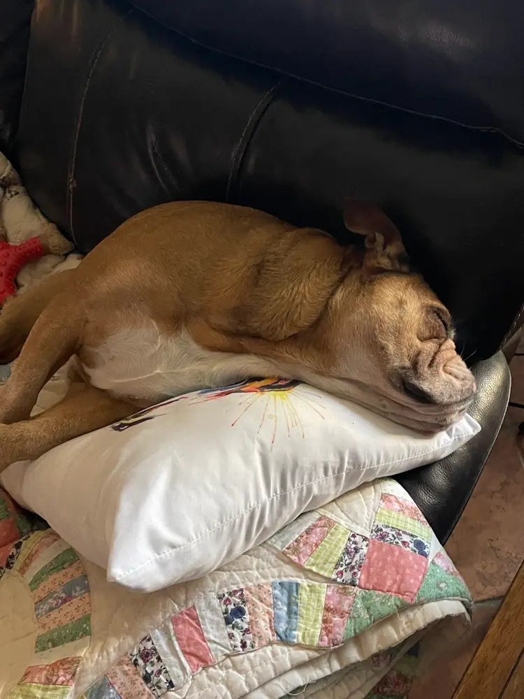 Rosey Invites You To The Show! New Items Mosser Christmas Tree Vases Figures And So Much More! Stop In And Say Hello!