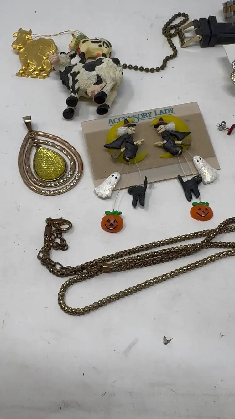 Lot Of Costume Jewelry Mixed Accessories