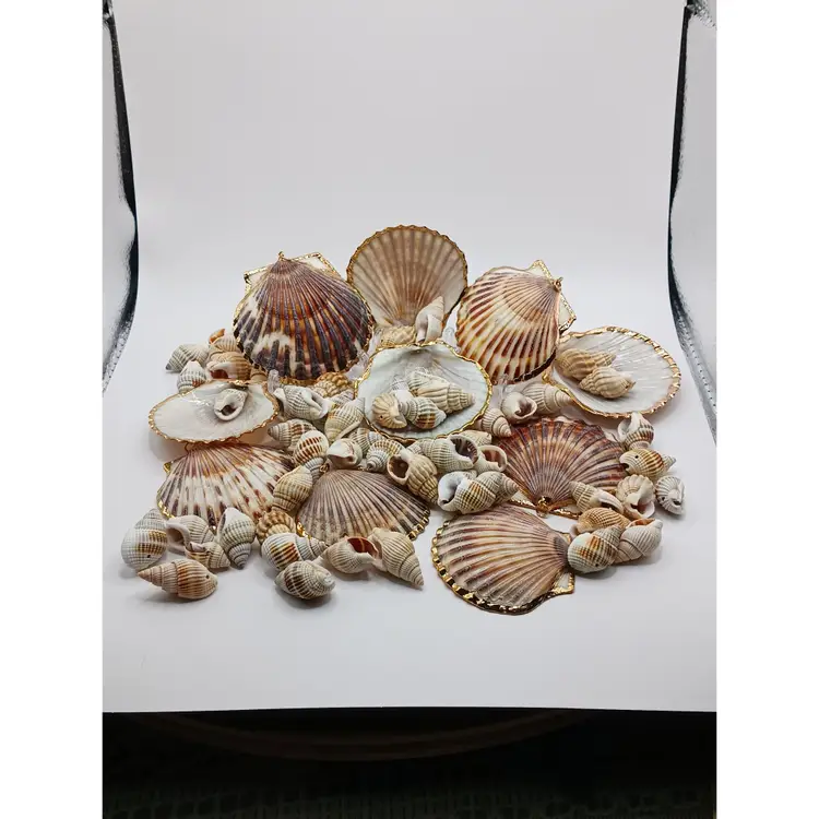 Natural Shell Pendants and Beads
