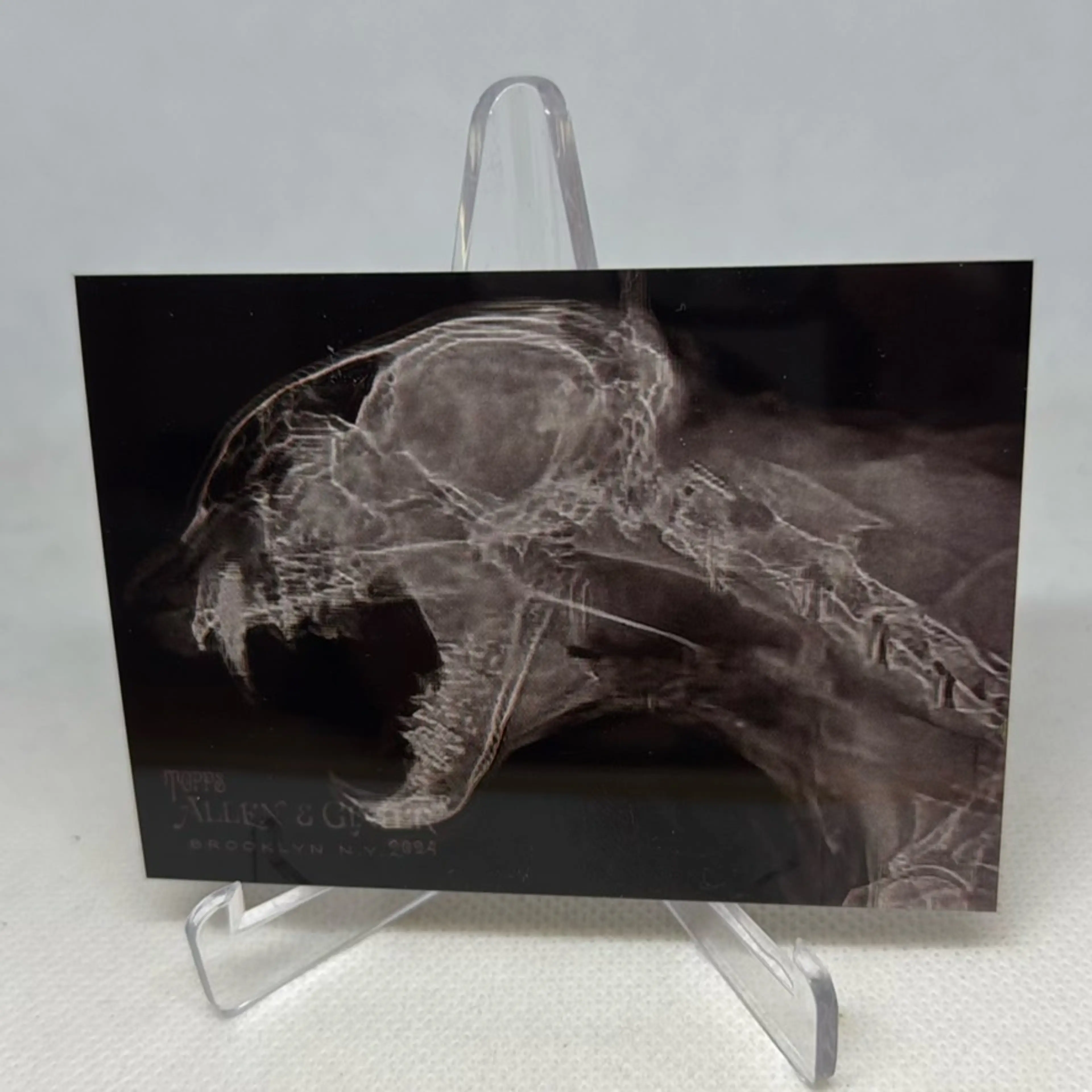 Image 1 of 2