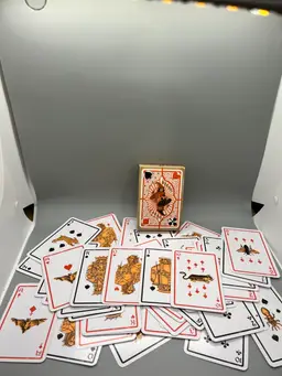 Wizard Playing-Cards .