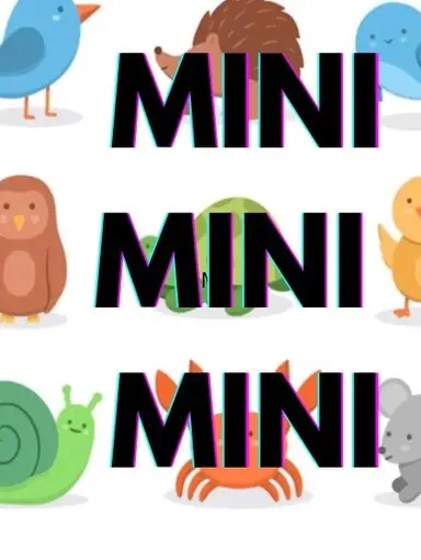 Lots and Lots Of MINI’S! 